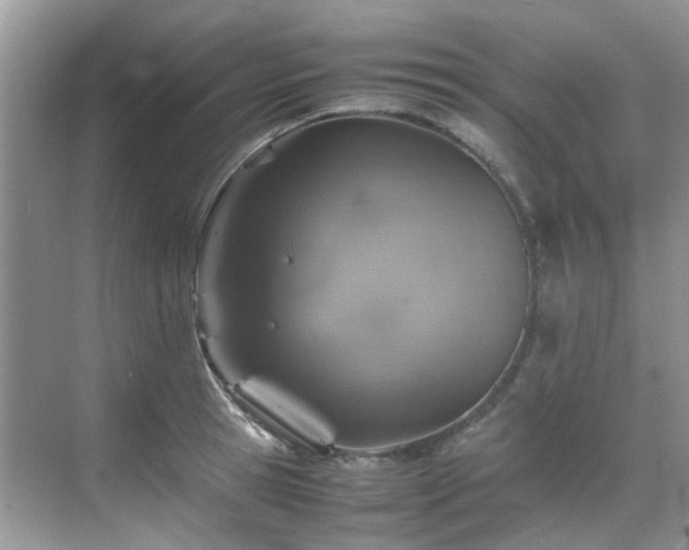 X0000070410945200606121326