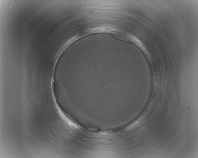 X0000070410946200606121326