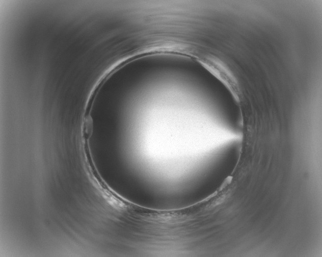 X0000070410948200606121326