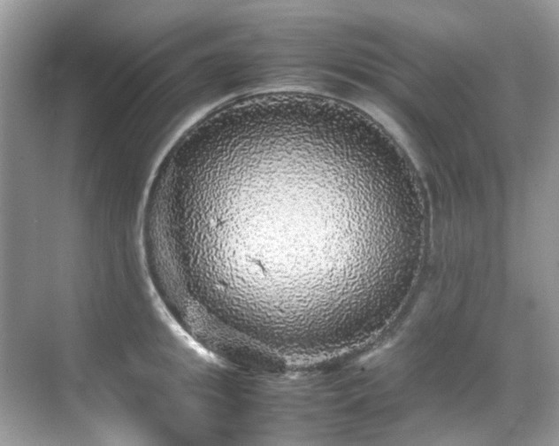 X0000070410949200606121326