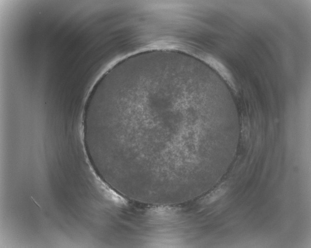 X0000070410950200606121326