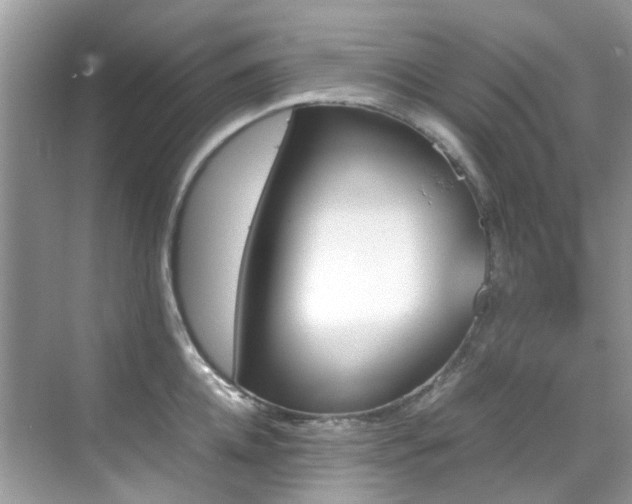 X0000070410952200606121326