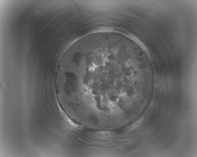 X0000070410953200606121326