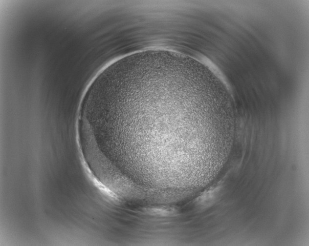 X0000070410955200606121326