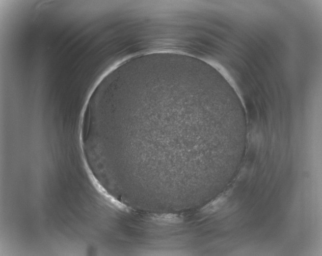 X0000070410957200606121326