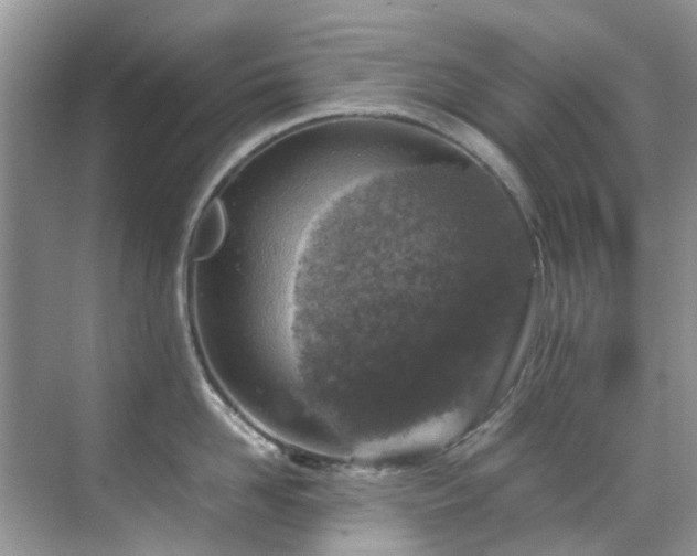 X0000070410958200606121326