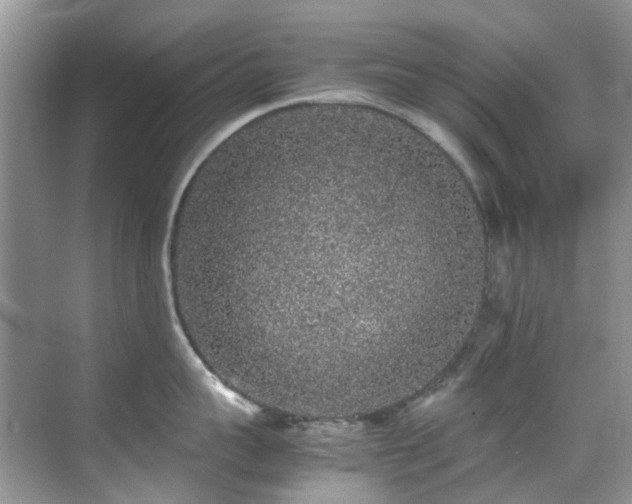 X0000070410959200606121326