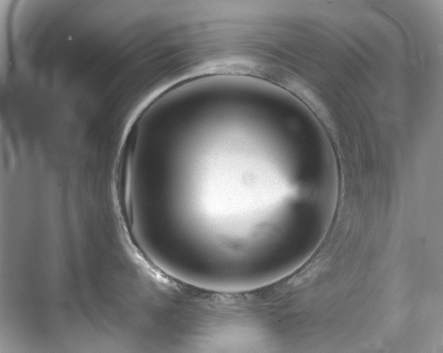 X0000070410960200606121326