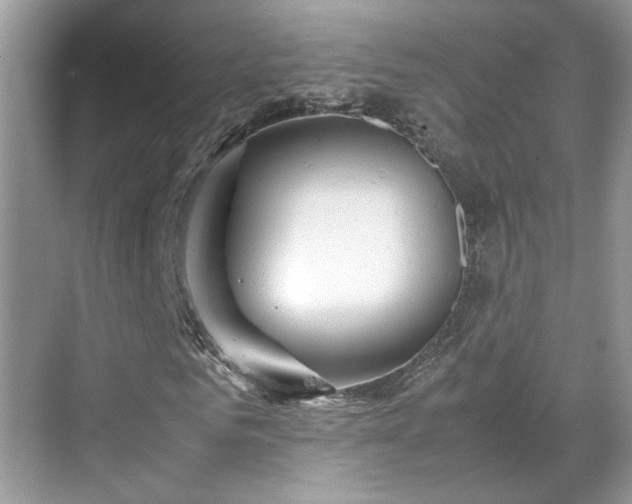 X0000070410961200606121325