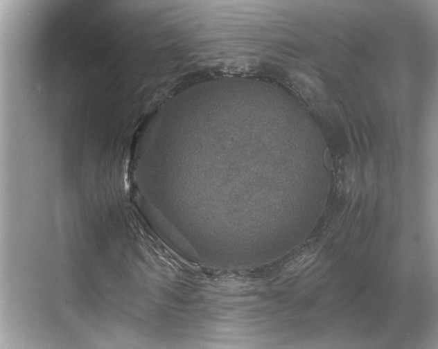 X0000070410962200606121325