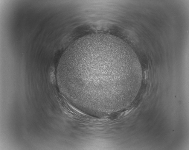 X0000070410963200606121325