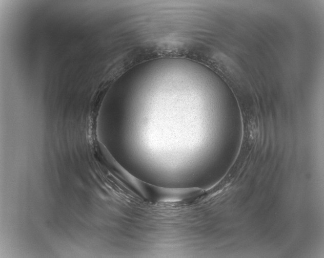 X0000070410964200606121325