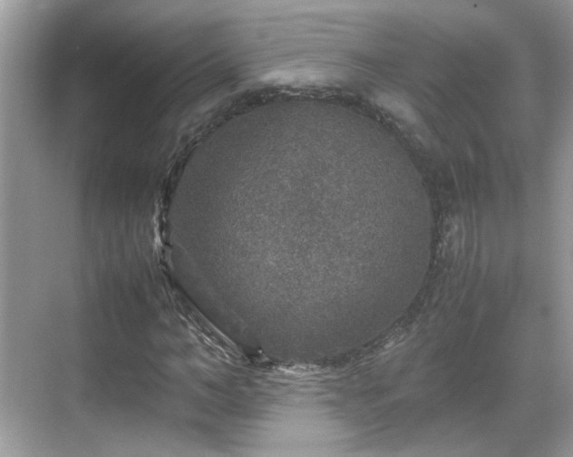 X0000070410966200606121325