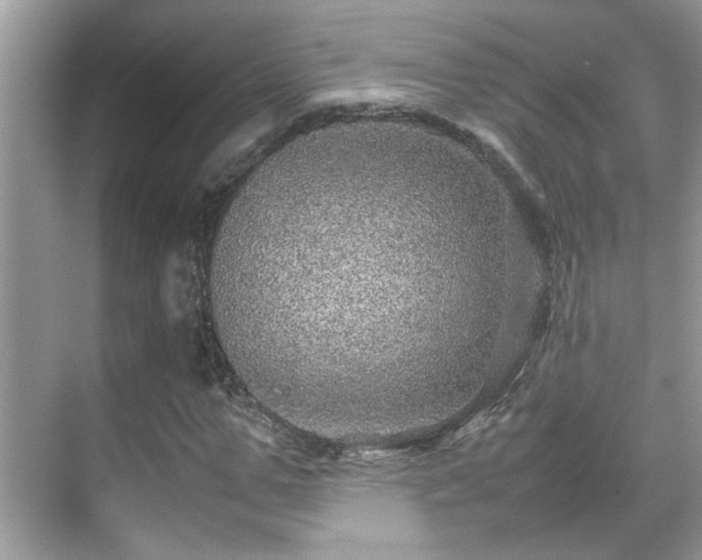 X0000070410967200606121325