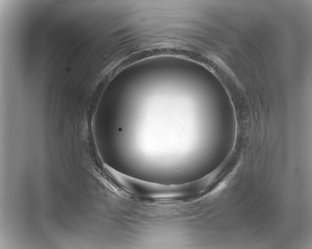 X0000070410969200606121325