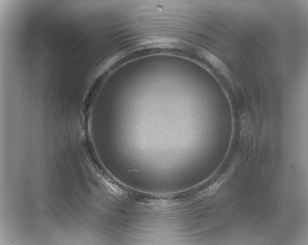 X0000070410970200606121325