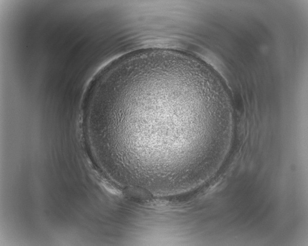 X0000070410971200606121325