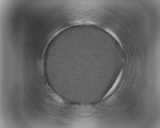 X0000070410975200606121325