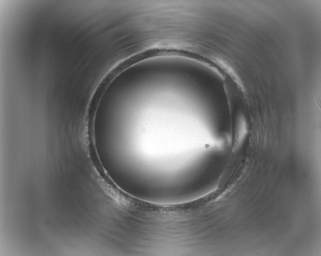 X0000070410976200606121325