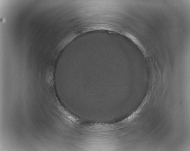 X0000070410977200606121325