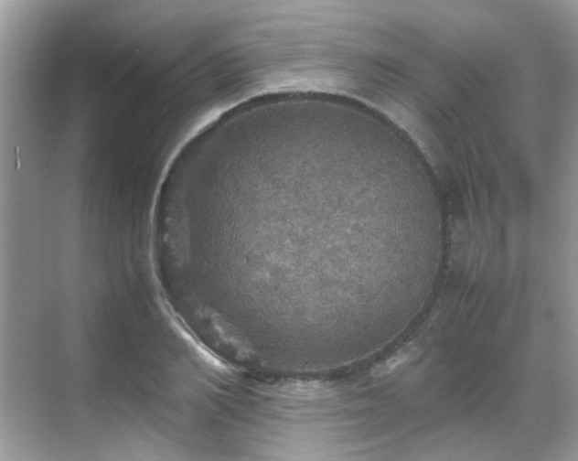 X0000070410982200606121325