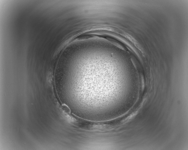 X0000070410985200606121325