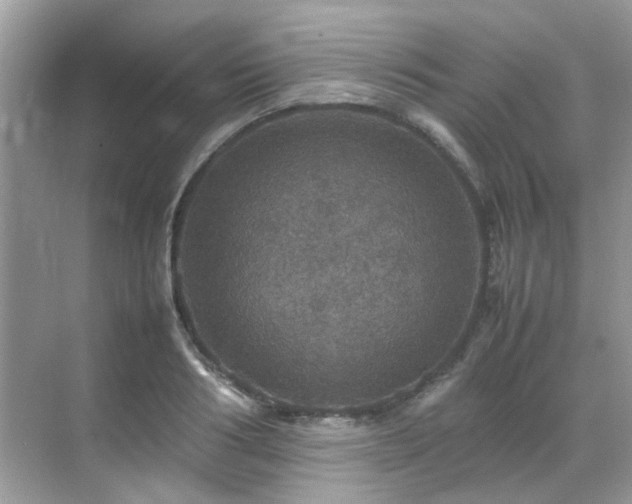 X0000070410986200606121325