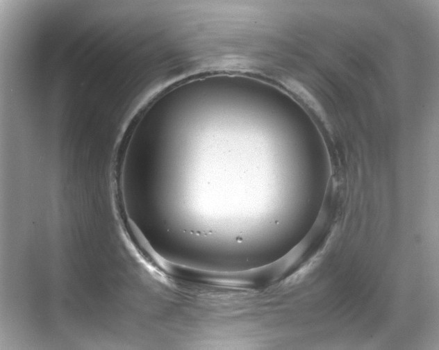 X0000070410989200606121325