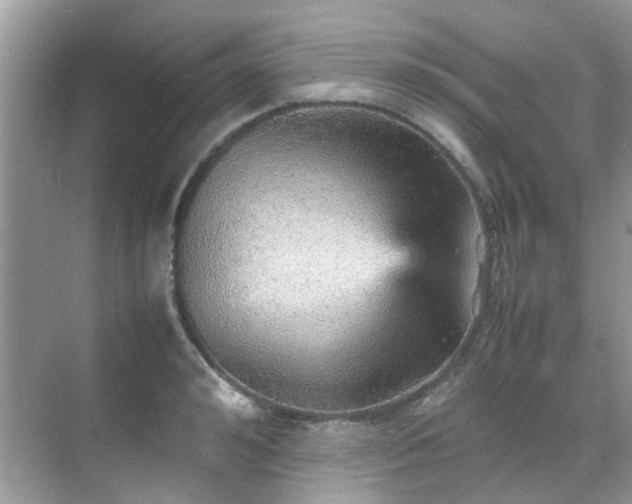 X0000070410992200606121325