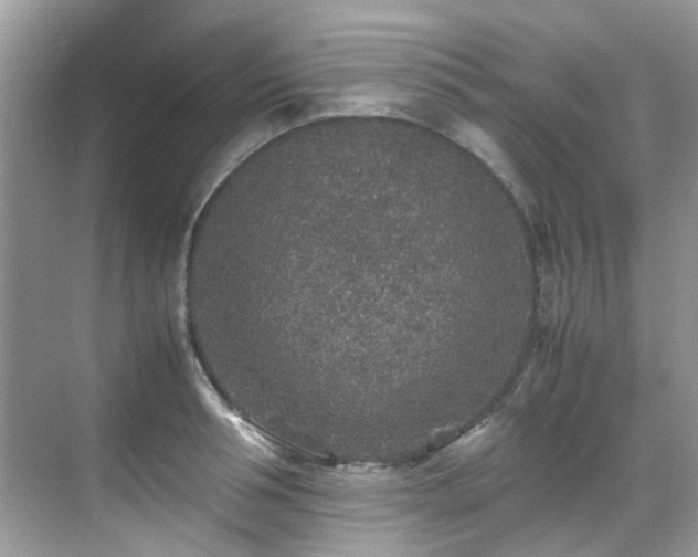 X0000070410994200606121325