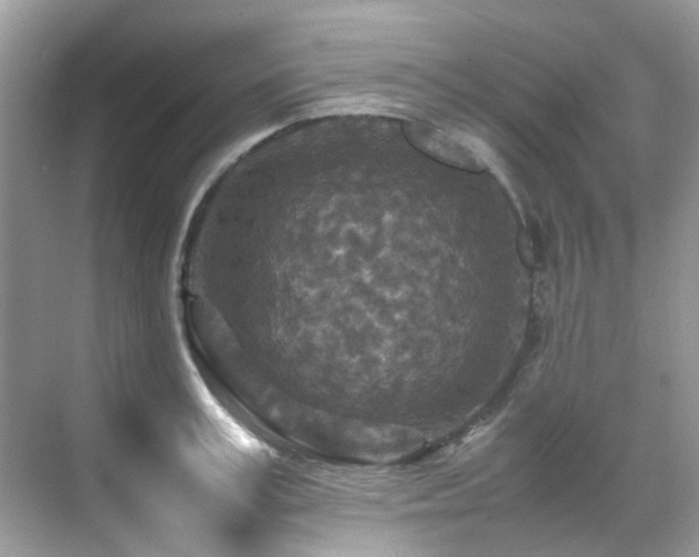 X0000070410995200606121325