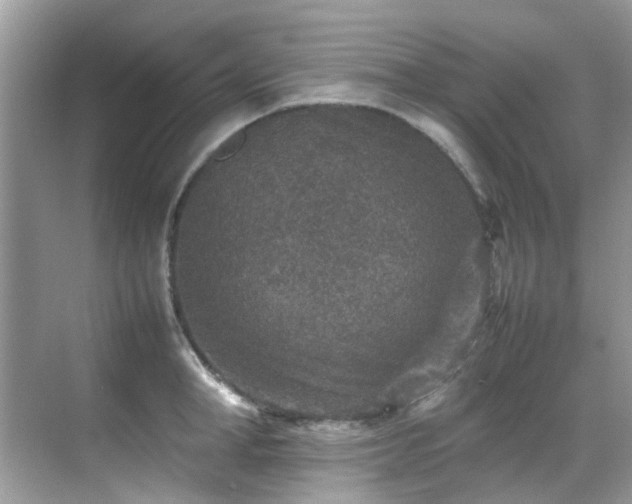 X0000070410998200606121325