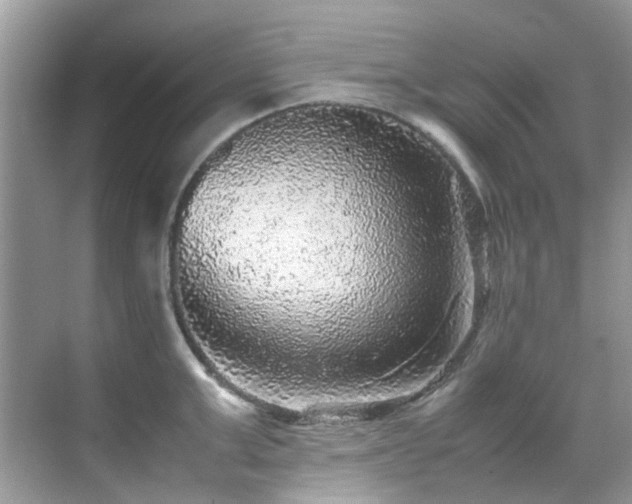 X0000070410999200606121325