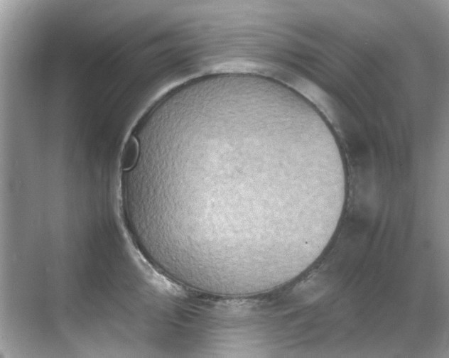 X0000070411000200606121325