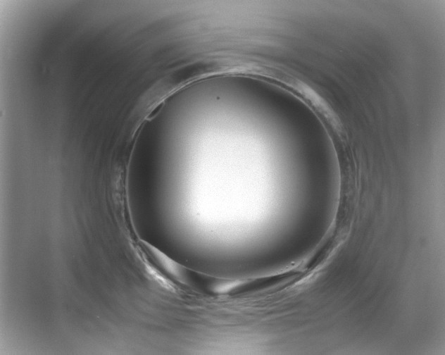 X0000070411001200606121325