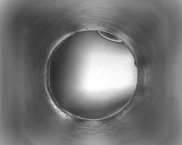 X0000070411003200606121325