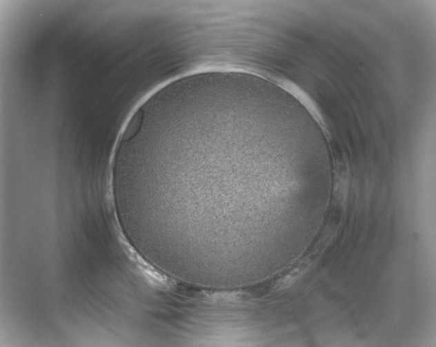 X0000070411004200606121325