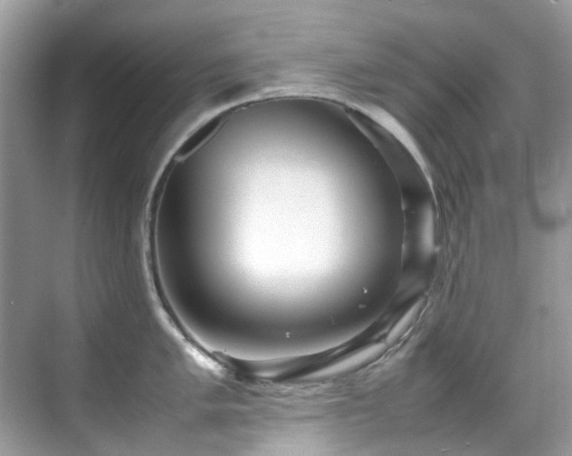 X0000070411005200606121325