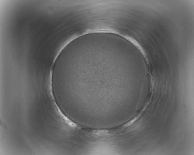 X0000070411006200606121325