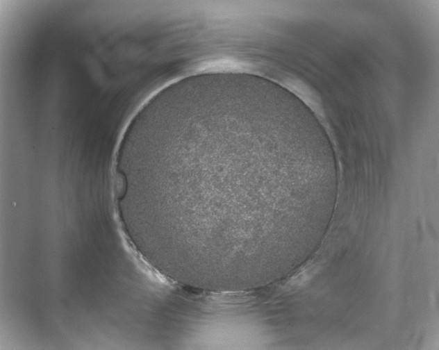 X0000070411008200606121325