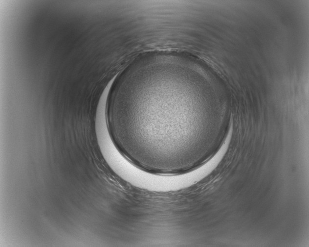 X0000070411010200606121324