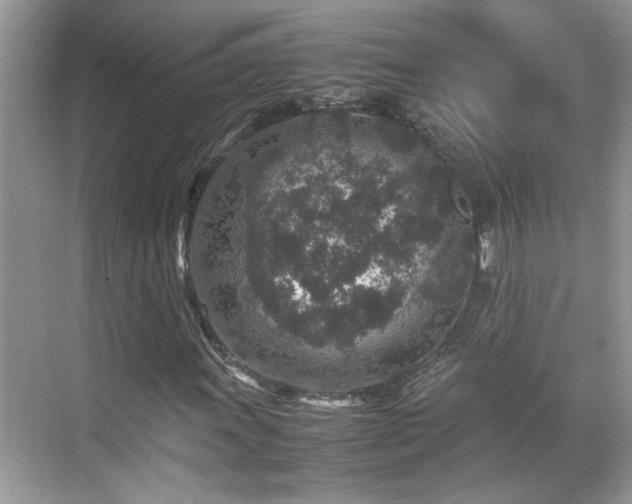 X0000070411011200606121324