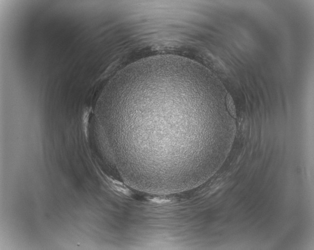 X0000070411012200606121324