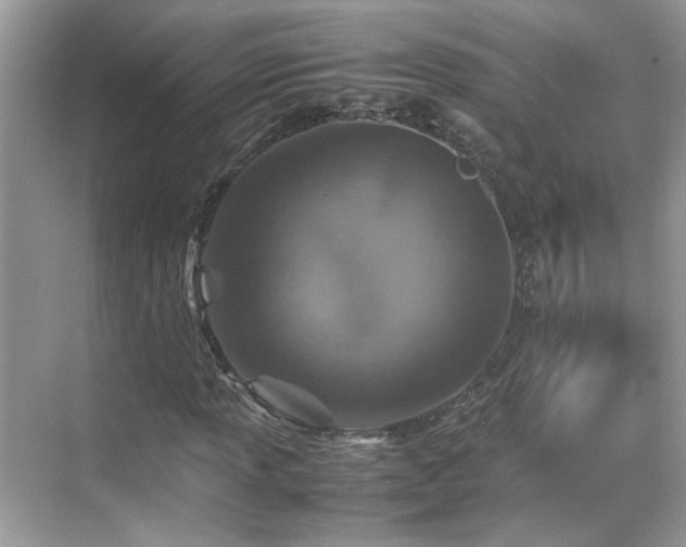 X0000070411013200606121324