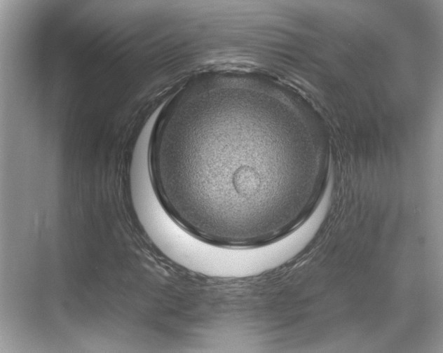 X0000070411014200606121324