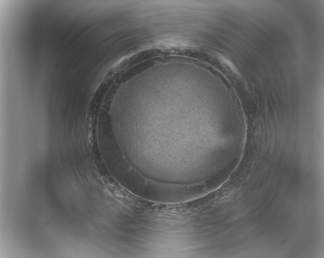 X0000070411016200606121324