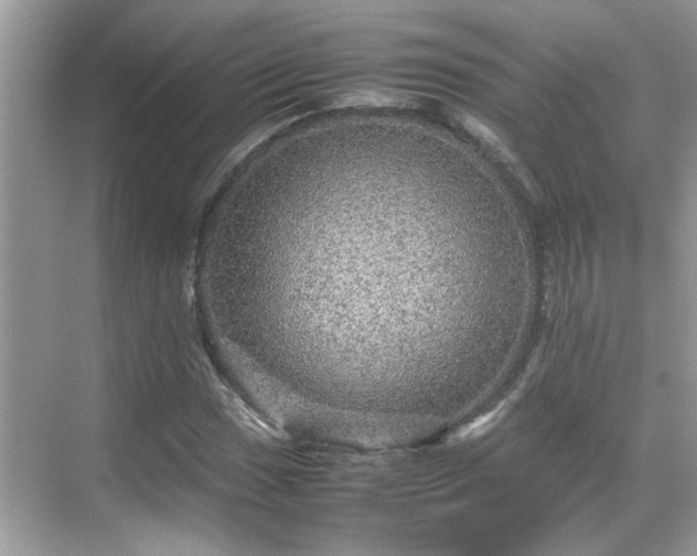 X0000070411017200606121324