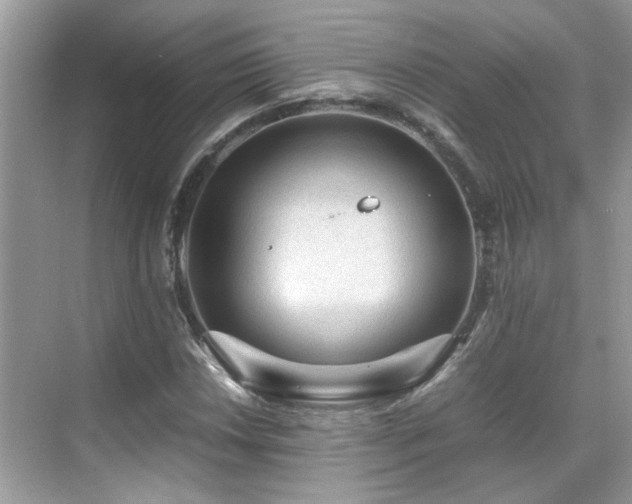 X0000070411018200606121324