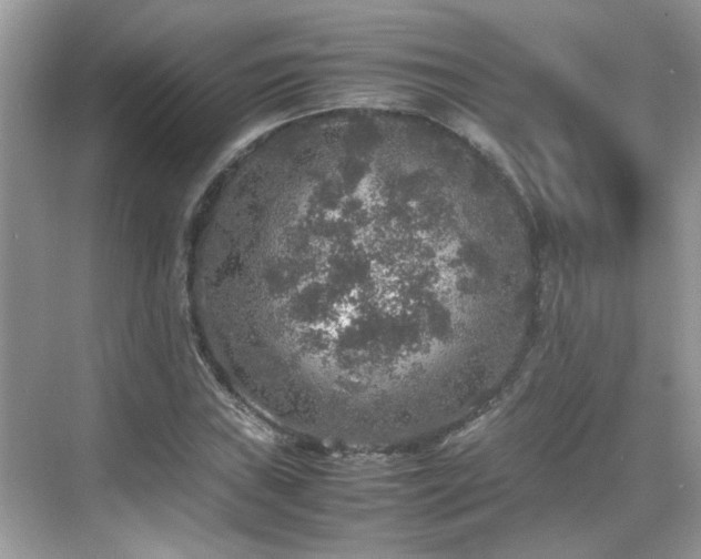 X0000070411019200606121324