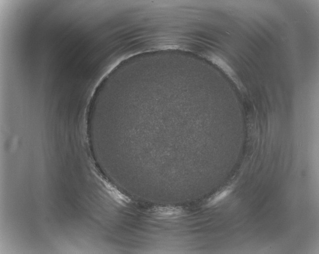 X0000070411023200606121324